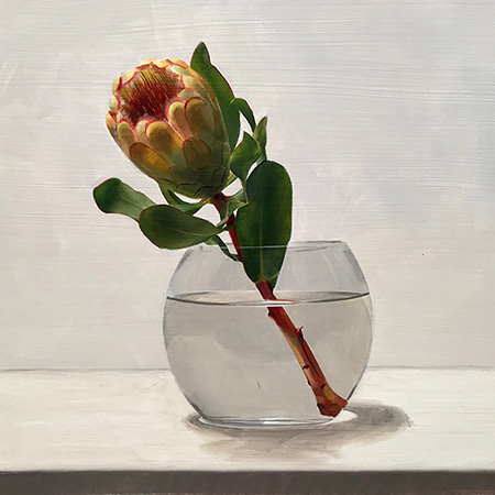 Yellow Protea by Tsering  Hannaford | Lethbridge Gallery